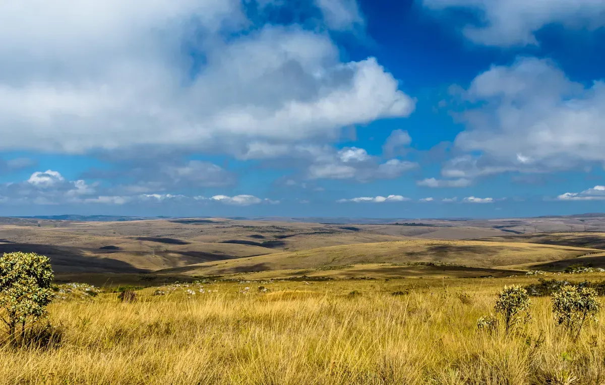 Imagem da galeria de Serra da Canastra